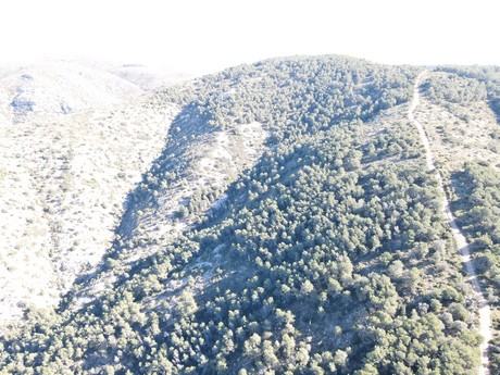 Santa Magdalena de Pulpis